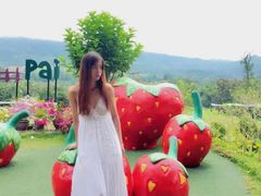 -黄色小屋