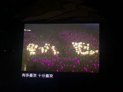 -成都金融城演艺中心