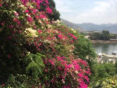 -南诏风情岛
