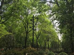 -唐城墙遗址公园