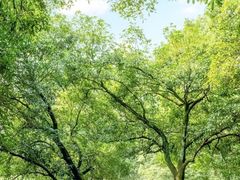 -杭州植物园