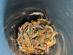 -虾胡闹龙虾馆(湄南河店)