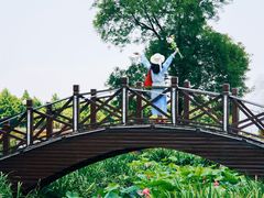 -荷兰花海