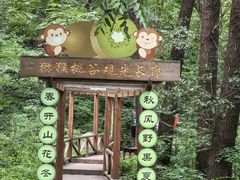 -大岭沟猕猴桃谷风景区