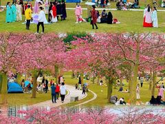 -风云岭森林公园