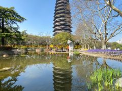 -红梅公园