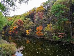 -洛阳白云山景区