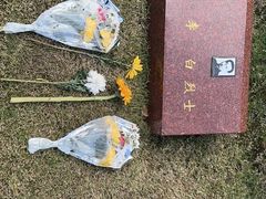 -上海市龙华烈士陵园