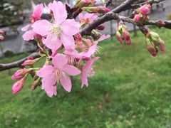 -田野绿世界