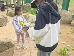 -北戴河集发农业梦想王国