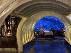 -迪拜帆船酒店海底餐厅