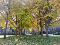 -北京理工大学(中关村校区)
