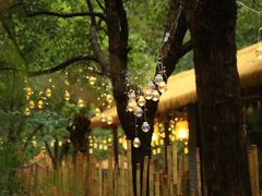 -宁波五龙潭景区