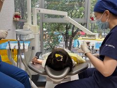 -TSK齿科德申会口腔门诊·联洋诊所