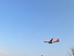 -空港花田景区