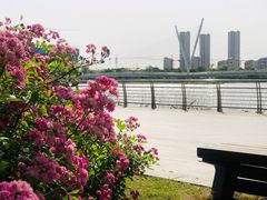 -映月湖中央公园