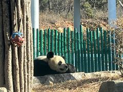 -大连森林动物园