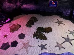 -暹罗海洋世界