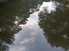-国家植物园