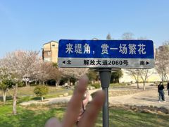 -堤角公园