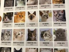 -袖虎·猫馆(体育西路店)