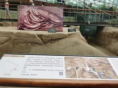 -金沙遗址博物馆