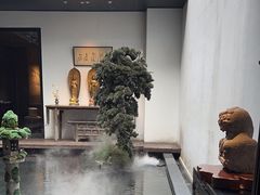 -觀芷隐轩