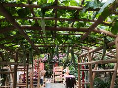 景点-兰陵国家农业公园