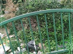 -双季花艺园艺市场(浦东店)