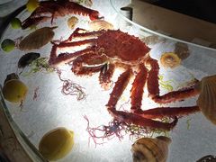 -壳里西餐厅Coquille Seafood Bistro(蒙自路店)