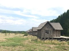 -塞罕坝国家级自然保护区