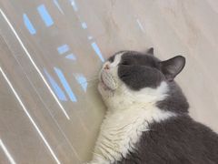 -鹏欣水游城