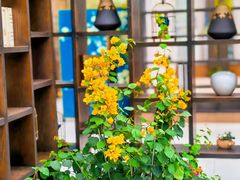 -常州花鸟园酒店(西太湖品牌优选店)