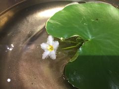 -弗劳尔花艺坊(龙涛店)