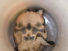 -旺山·浪头人家