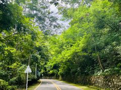 -深圳仙湖植物园