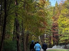 -溱湖国家湿地公园