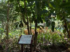 -祥源·阜阳生态乐园