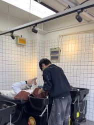 -藤野造型烫发染发