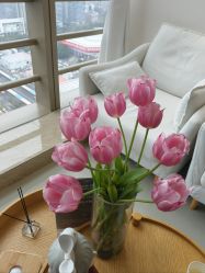 -JNK皮肤管理中心