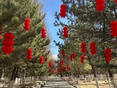 -罗布林卡