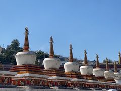 -塔尔寺