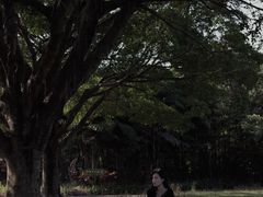 -南沙蒲洲花园