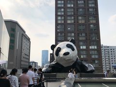 -成都天府丽都喜来登饭店