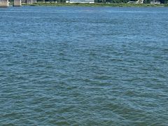 -鸭绿江中朝界河游船(1号观光码头)