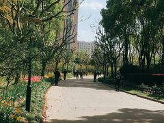 -黄兴公园