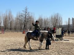 -北京群众马术培训基地