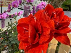 -沃尔玛超市(SM广场店)