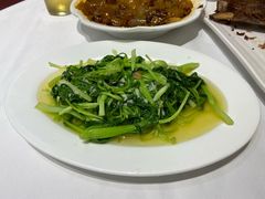 蒜蓉鸡毛菜-小贝壳酒楼(经九路店)
