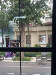 -爱儿美儿童摄影亲子馆(五路居店)
